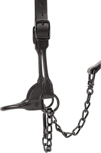 Weaver Livestock Leather Magic Show Cattle Halter, Adjustable, Modern Style Cow Calf Halter, Livestock Handling Equipment for Showing, Black