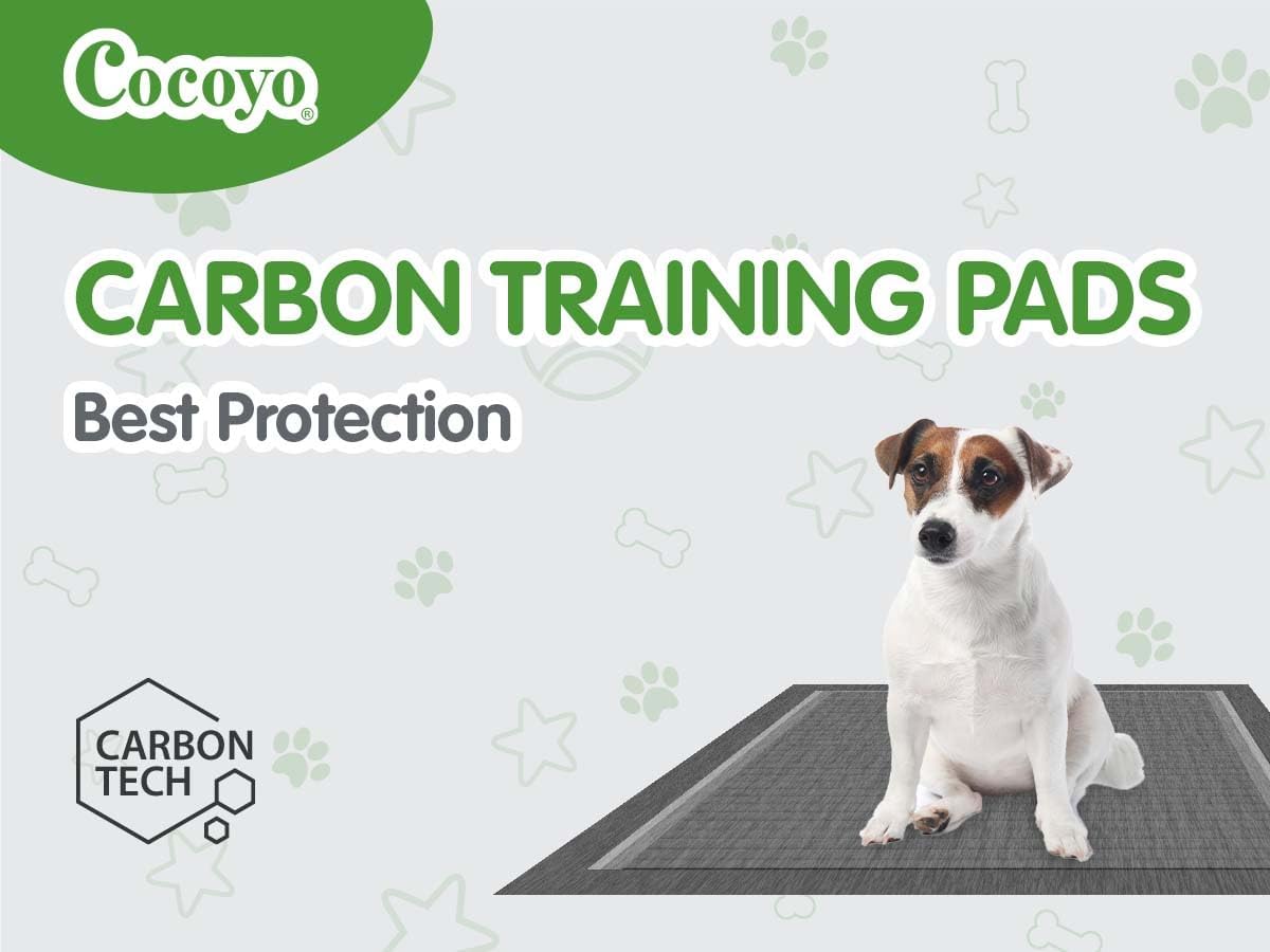 COCOYO Best Value Training Pads 30 Count, Dog Pee Pads - 100 / 17.5" x 23.5" Charcoal - image 4
