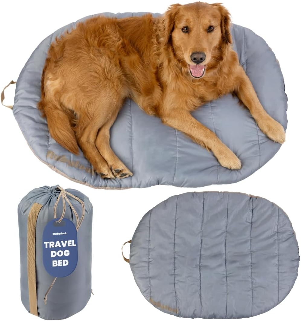 Travel Dog Bed, Foldable & Packable with Carry Bag, Black - Foggy Trail / Medium