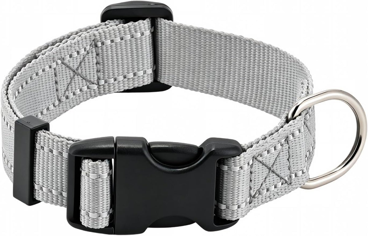 Dog Collar for Small Medium Dogs with Buckle - Light Gray / Medium