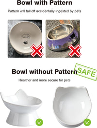 Cat Water Bowl, 15° Tilted and Raised Pet Food Dish - 2 Pack / White Cat - image 4