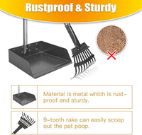 TOOGE Larger Pooper Scooper for Large Dogs, Dog Pooper Scooper Long Handle Stainless Metal Tray and Rake Set for Large Medium Small Dogs Heavy Duty (Green) (Extra Large)