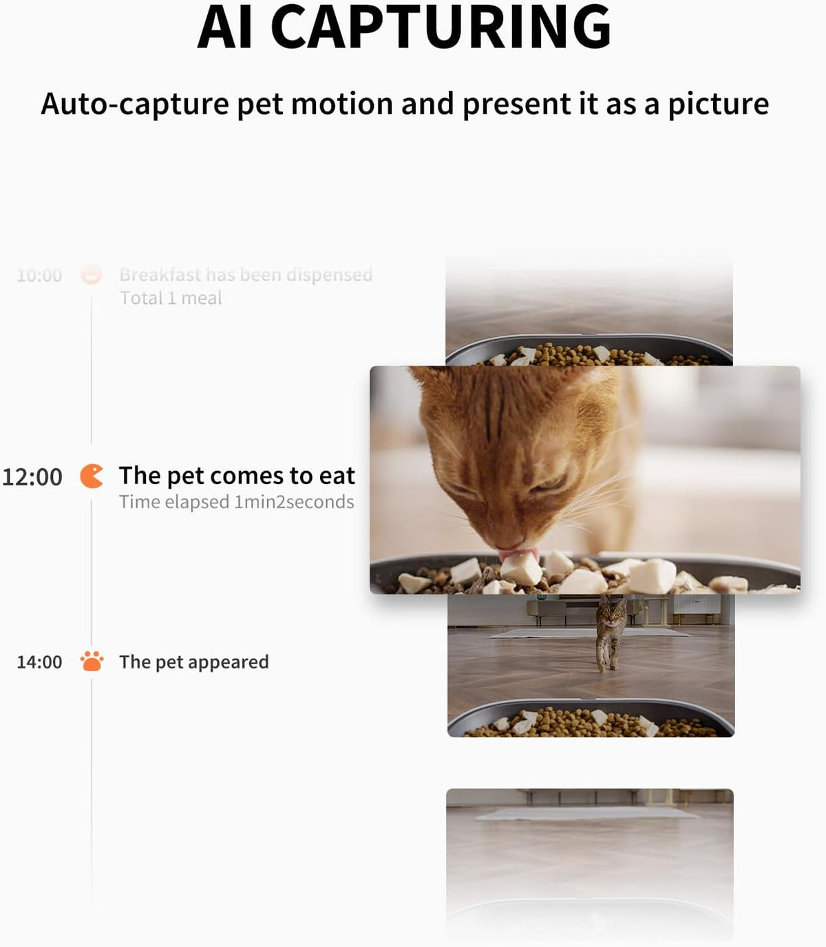 PETKIT Upgraded Multi-Cat Recognition Automatic Cat Feeder with Camera – Essentials for Cats - White with Double Food Hopper - image 3