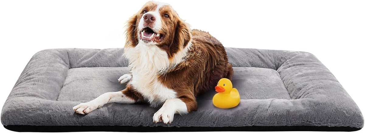 Dog Crate Pad Washable Dog Bed for Crate Medium Cozy Mat 36-Inch Gray – Essentials for Dogs - 48.0"L x 30.0"W x 1.0"Th / gray