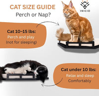 INICIO Cat Wall Shelves - Modern and Durable 3 Step Cat Furniture for Wall - Stylish Birch Floating Shelf for Cats up to 15lbs - Wooden Corner Shelves with Cushioned Perch - Black