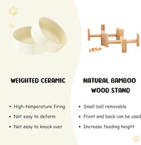 SPUNKYJUNKY 15° Slanted Ceramic Dog and Cat Bowl with Wooden Stand, Tilted Bulldog Food and Water Bowl No Slip Non-Spill for Cats Medium Dogs Big Face Pets 13.5 OZ (1.7 Cups, Beige × 2)