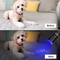 morpilot Mini UV Blacklight Flashlight - 2 Count (Batteries Not Included) - image 2