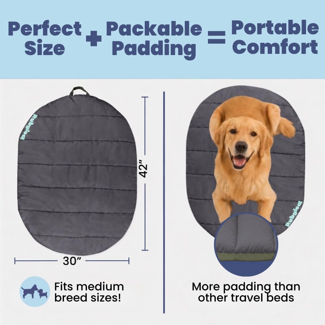 Travel Dog Bed, Foldable & Packable with Carry Bag, Black - Midnight Forest / Medium - image 2