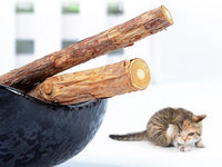 20 PCS Cat Catnip Sticks Natural Matatabi Silvervine Sticks - Cleaning Teeth Molar Tools Kitten Chew Toy Natural Catnip Cats Toy