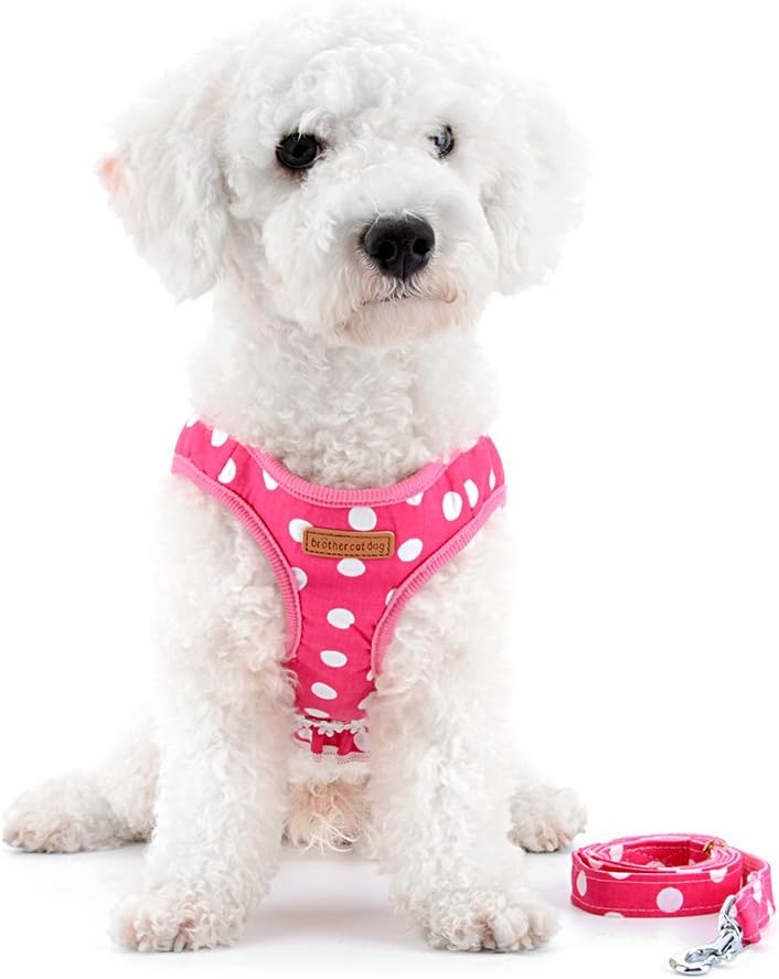 Step-in Dog Harness and Leash Set for Small Dogs - XL / pink - image 4