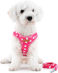 No Pull Polka Dot Small Dog Puppy Cat Harness with Crown - Pink / XL (chest 19.7",fit 15-21 lbs) - image 3