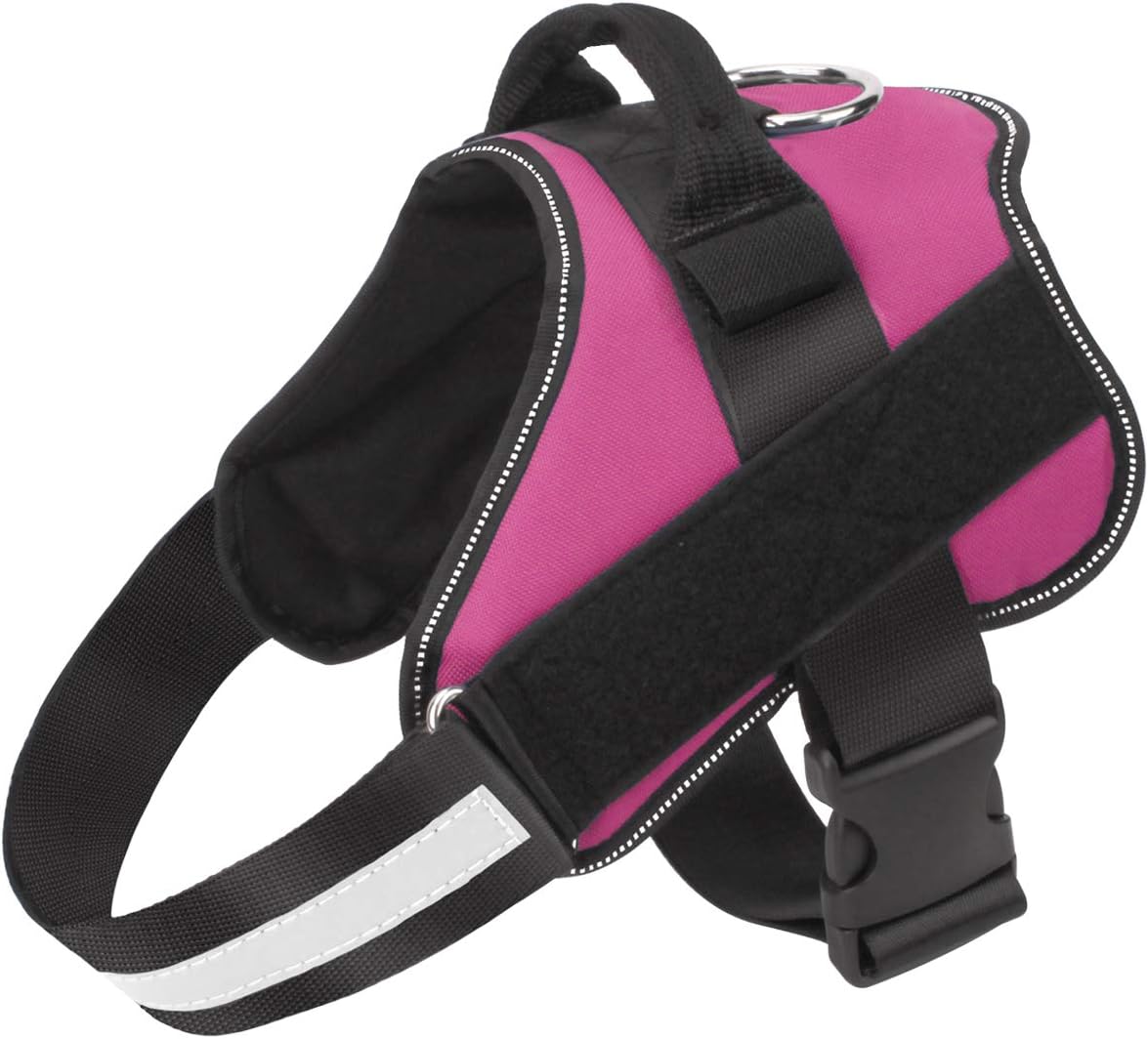 Bolux Dog Harness, No-Pull Reflective Dog Vest - Small (Pack of 1) / Rose red