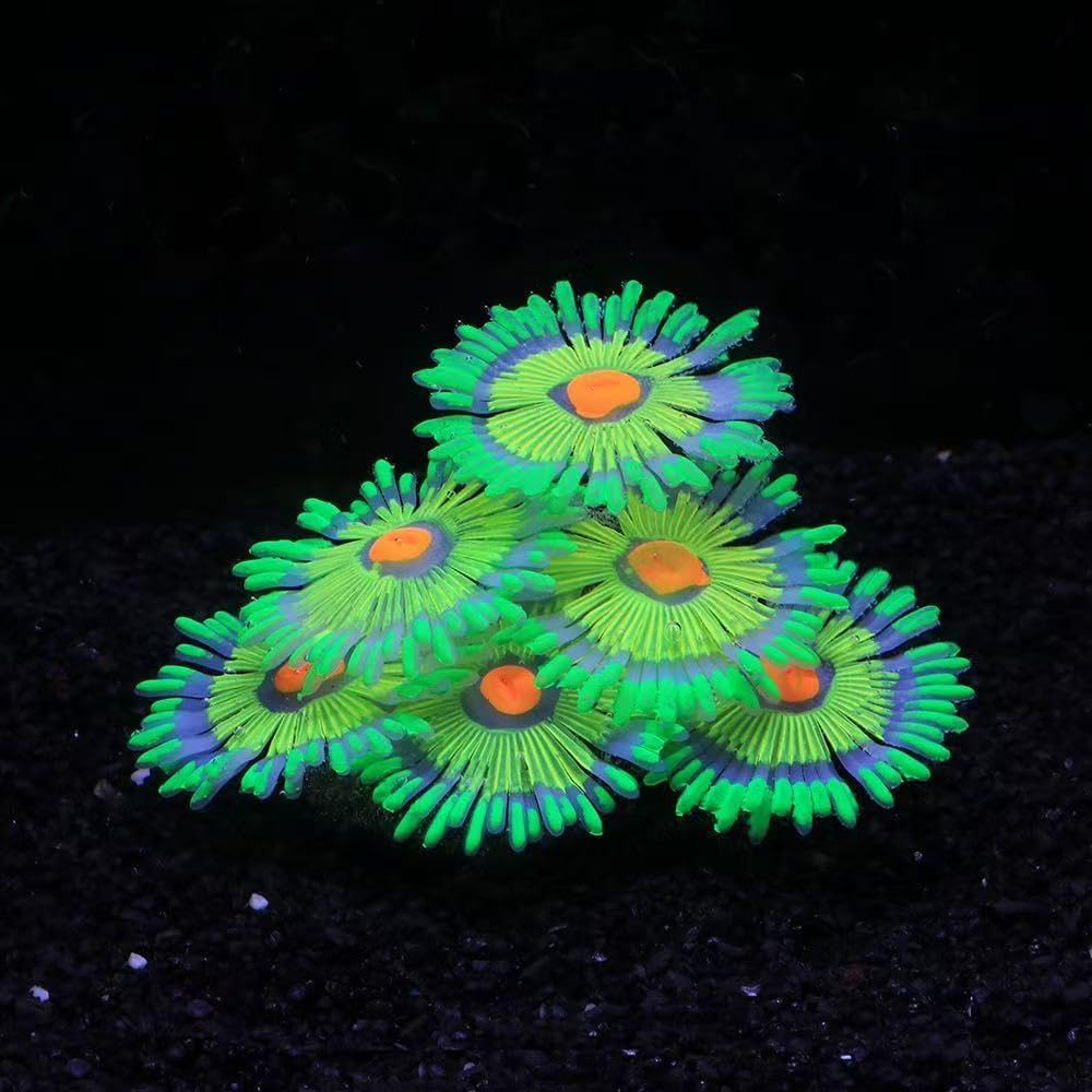 ZtohPyo Glow Fish Tank Decorations - Green - image 2