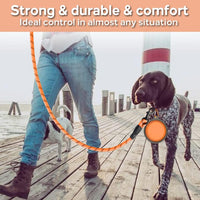 COOYOO 2 Pack Dog Leash 5 FT Heavy Duty - 1/2"x 6 FT (18~120 lbs.) / Set 7-Black+Orange - image 3