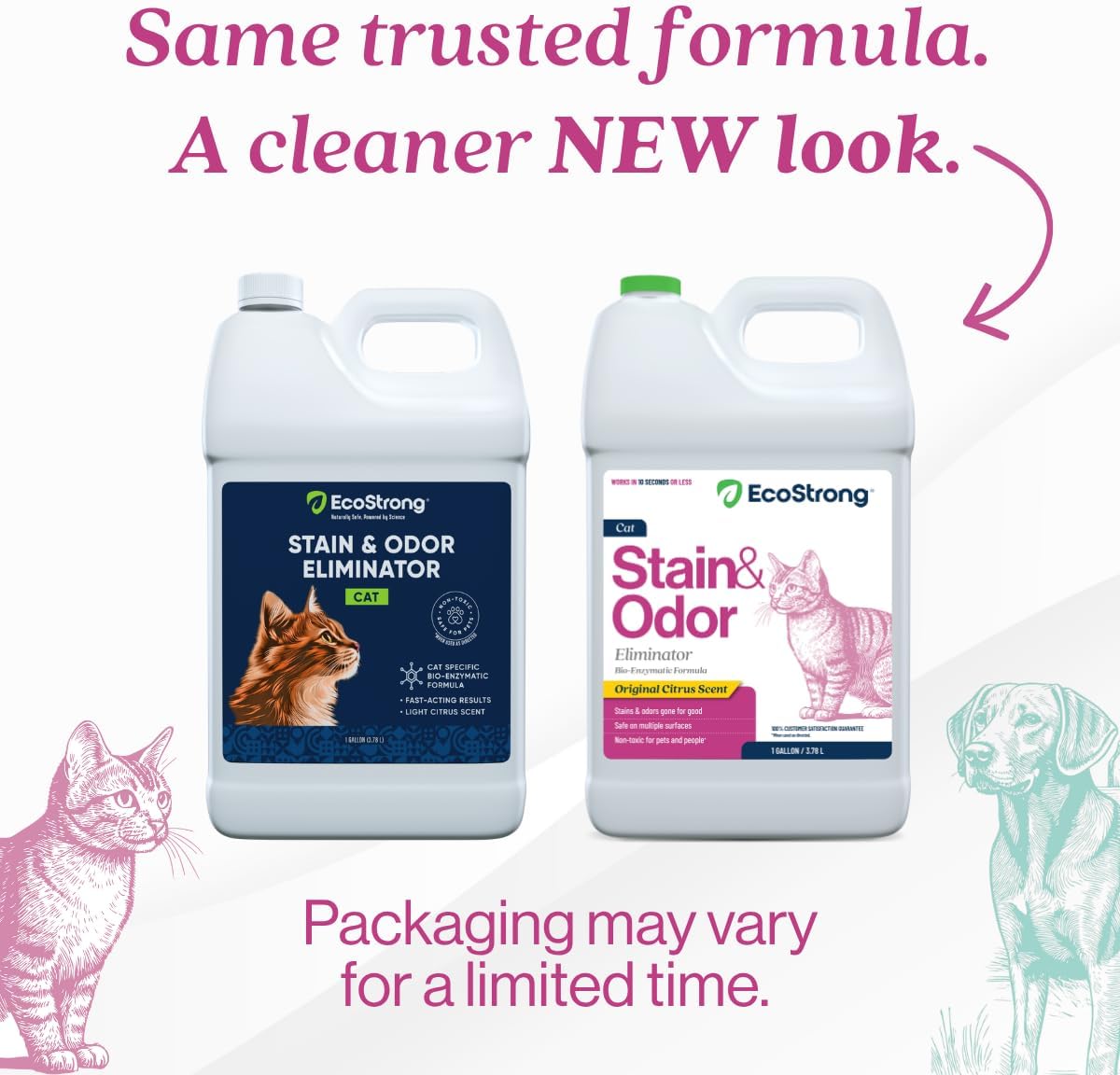 Eco Strong Cat Stain And Odor Remover - 128 Fl Oz (Pack of 1) - image 2