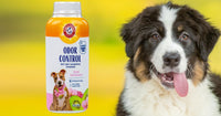 ARM & HAMMER Odor Control Dry Shampoo Powder for Dogs - 4.2 Ounce (Pack of 1) - image 3