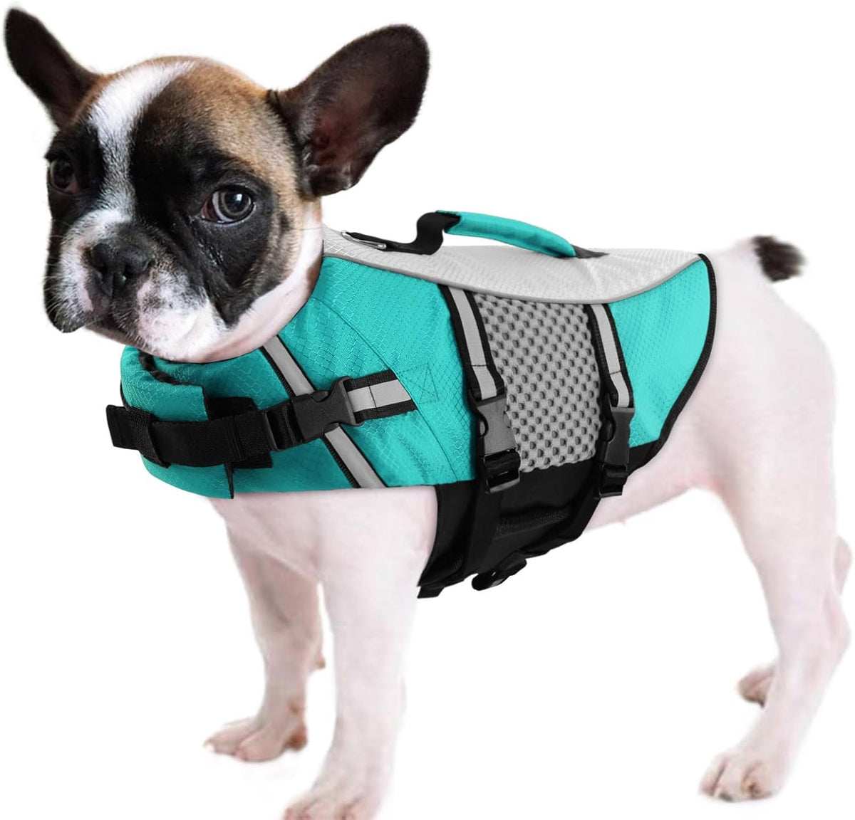 Dog Life Jacket, Small Float Vest for Swimming Boating Kayaking - Small / Peacock Green