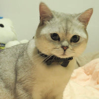Cotton cat collar with removable bowtie, detachable bell and breakaway clasp - view 2