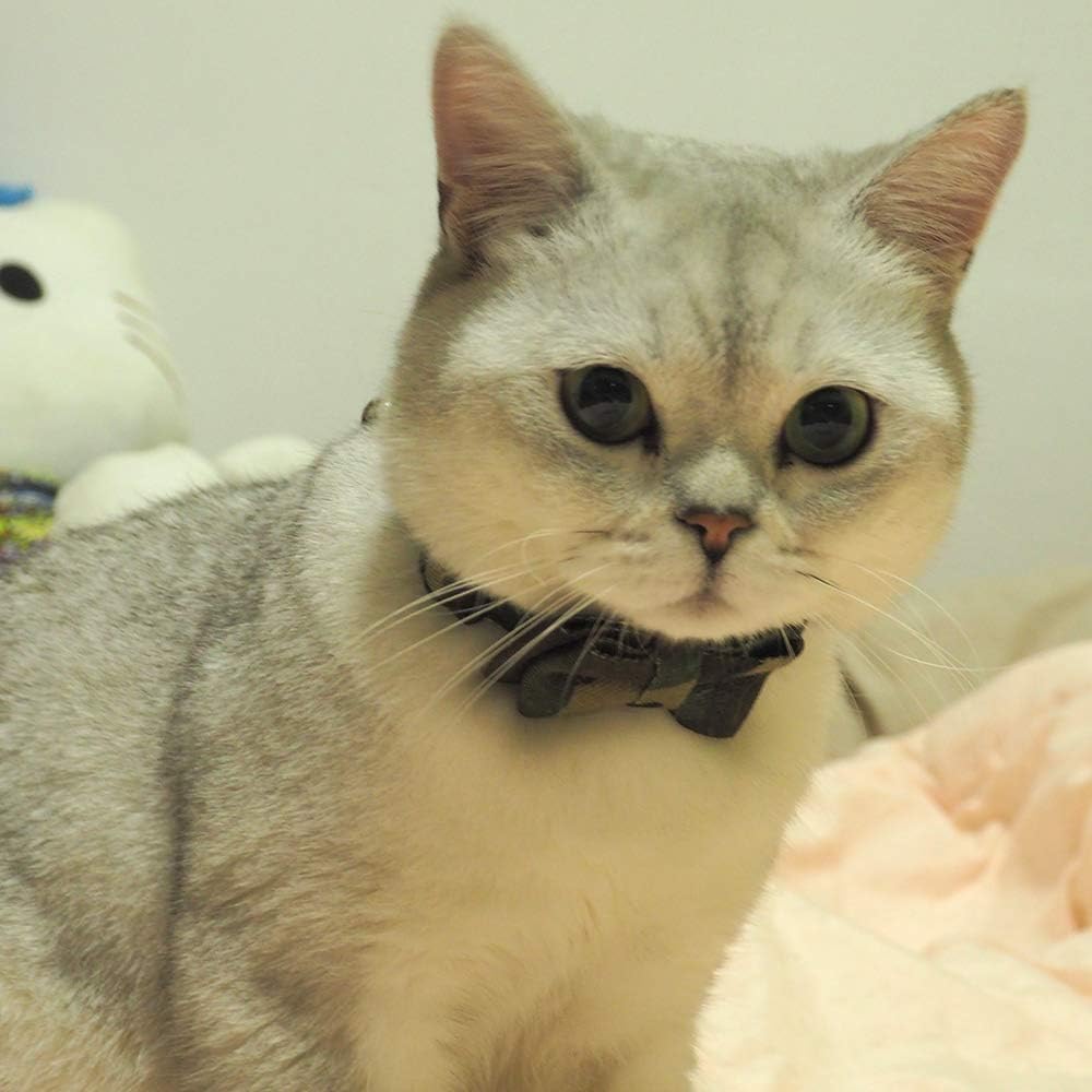 Cotton cat collar with removable bowtie, detachable bell and breakaway clasp - view 2