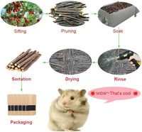 500g Apple Sticks for Small Animals: Wood Molar Toys for Rabbits - 500g - image 3