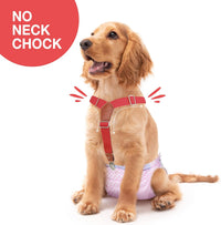 Pet Soft Dog Suspenders 2 Pieces Female Dog Diaper Suspenders - Brown & Red / S/M - image 2