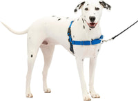 PetSafe Easy Walk Harness, No Pull Dog Harness, Royal Blue - Royal Blue/Navy Blue / Medium/Large / 1