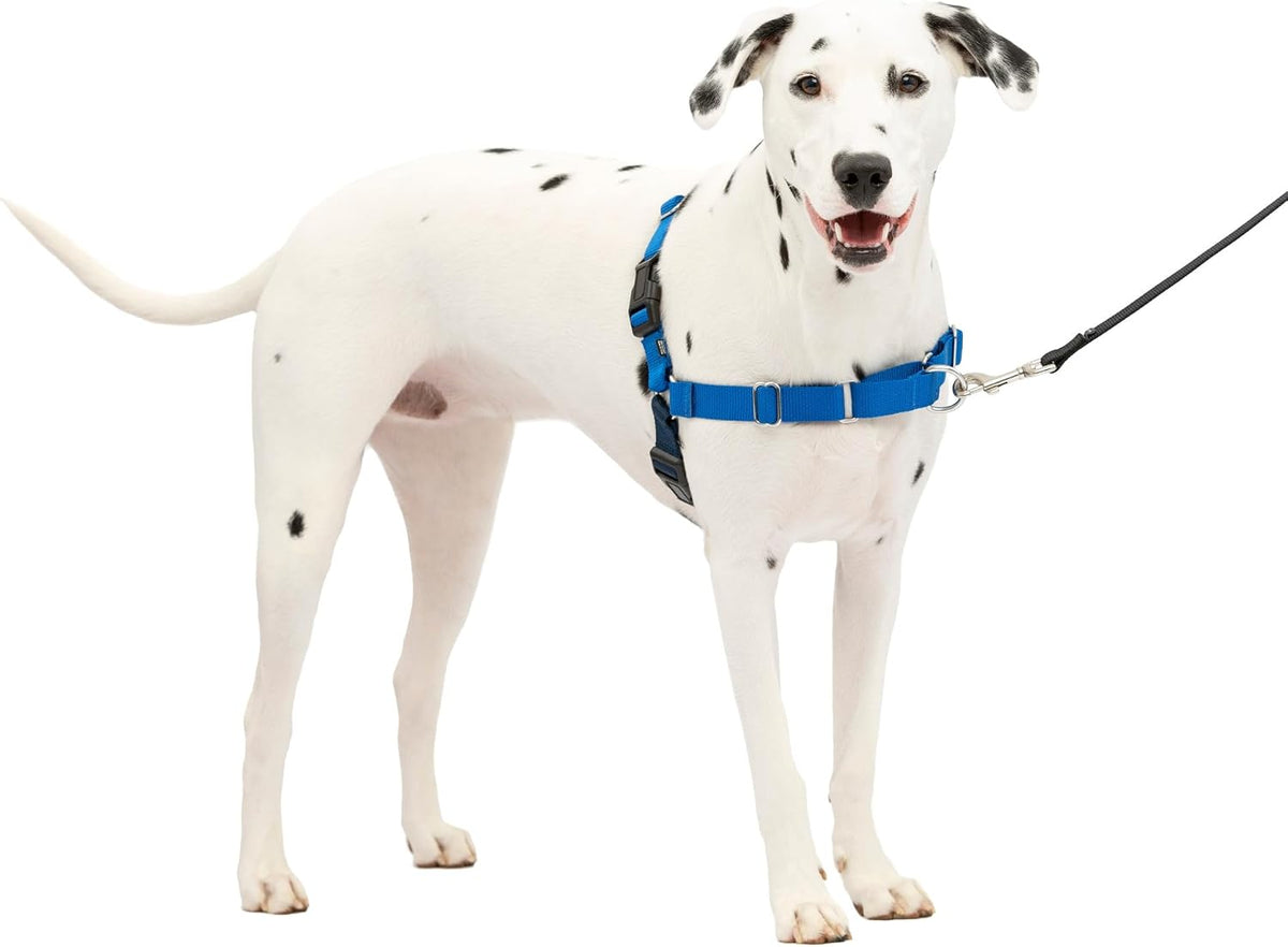 PetSafe Easy Walk Harness, No Pull Dog Harness, Royal Blue - Royal Blue/Navy Blue / Medium/Large / 1