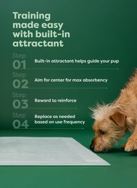Regular Dog & Puppy Pee Pads, Max Absorbency - Clear View Top / Regular [L] 22"x23" 40ct - image 4