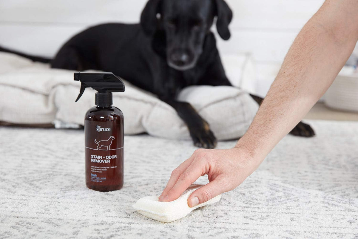 The Spruce Pet Stain & Odor Remover - 17 Fl Oz (Pack of 2) - image 4