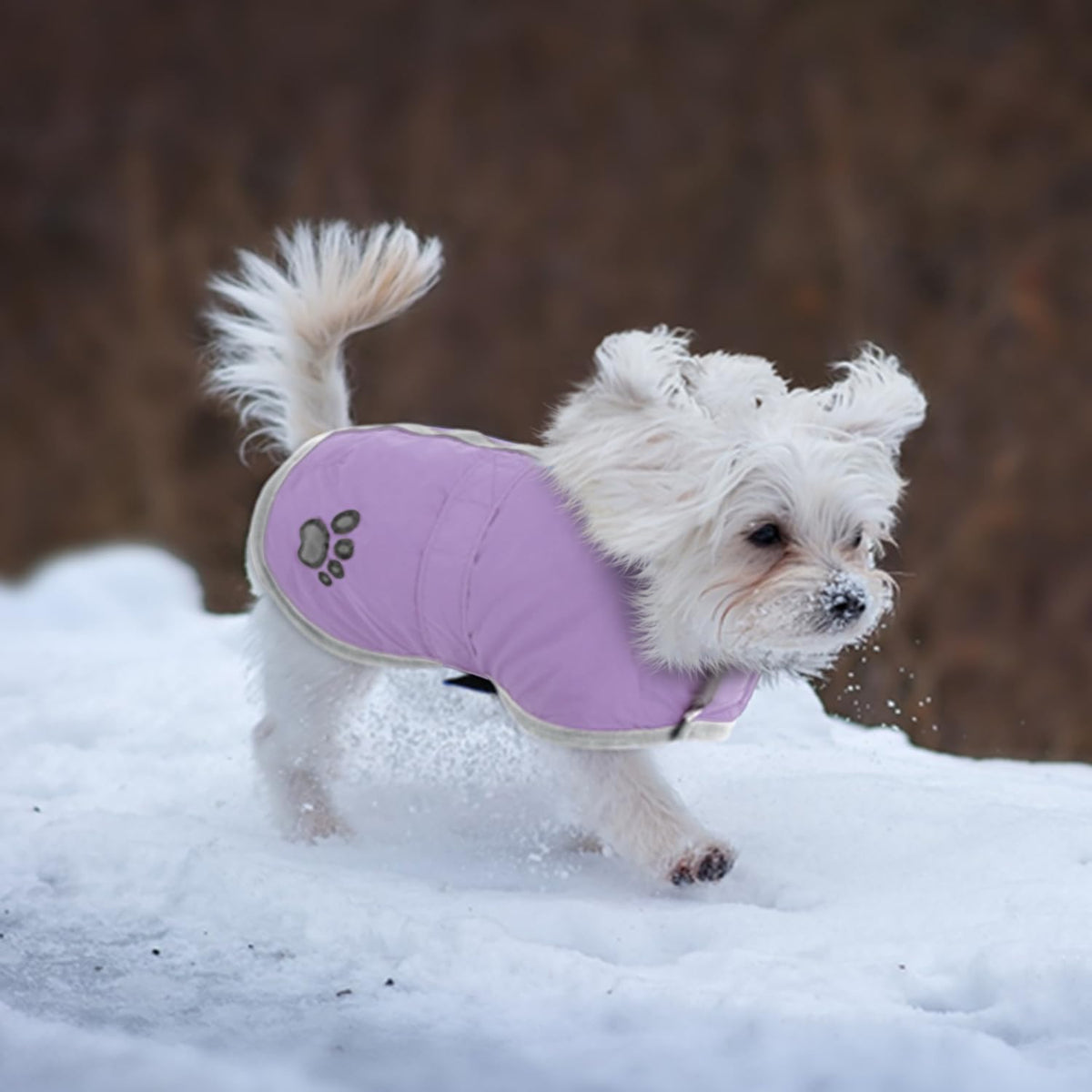 Queenmore Cold Weather Dog Coats Loft Reversible Winter Fleece Dog - Small / Light Purple - image 4