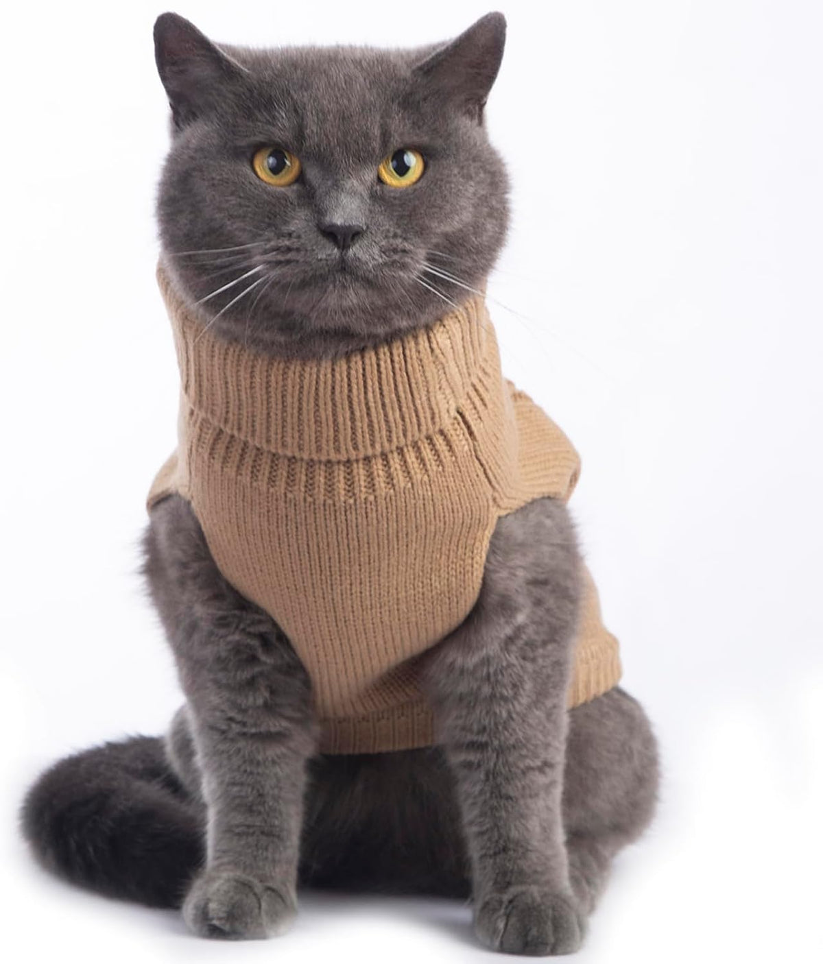 Cat Sweater Stretchy, 19 Colors, 6 Sizes - Khaki / X-Small / Vest - image 2