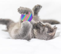 BLMHTWO 12PCS Rainbow Cat Toys, EVA Foam Balls 1.65inch Lightweight Colorful Interactive Pet Balls for Cats, Kittens, Puppy (6 Colors)