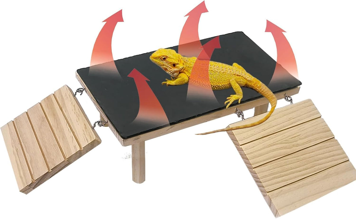 Reptile Bearded Dragon Basking Platform Rock with Climbing Ramp - M - 11.8"D x 5.9"W x 4.7"H