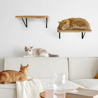 2 Pack 4 Steps Cat Wall Shelves and Stairs with Sisal Rope.Cat Wall - Brownish white / 1 / 2 Pack 1 Steps - image 4