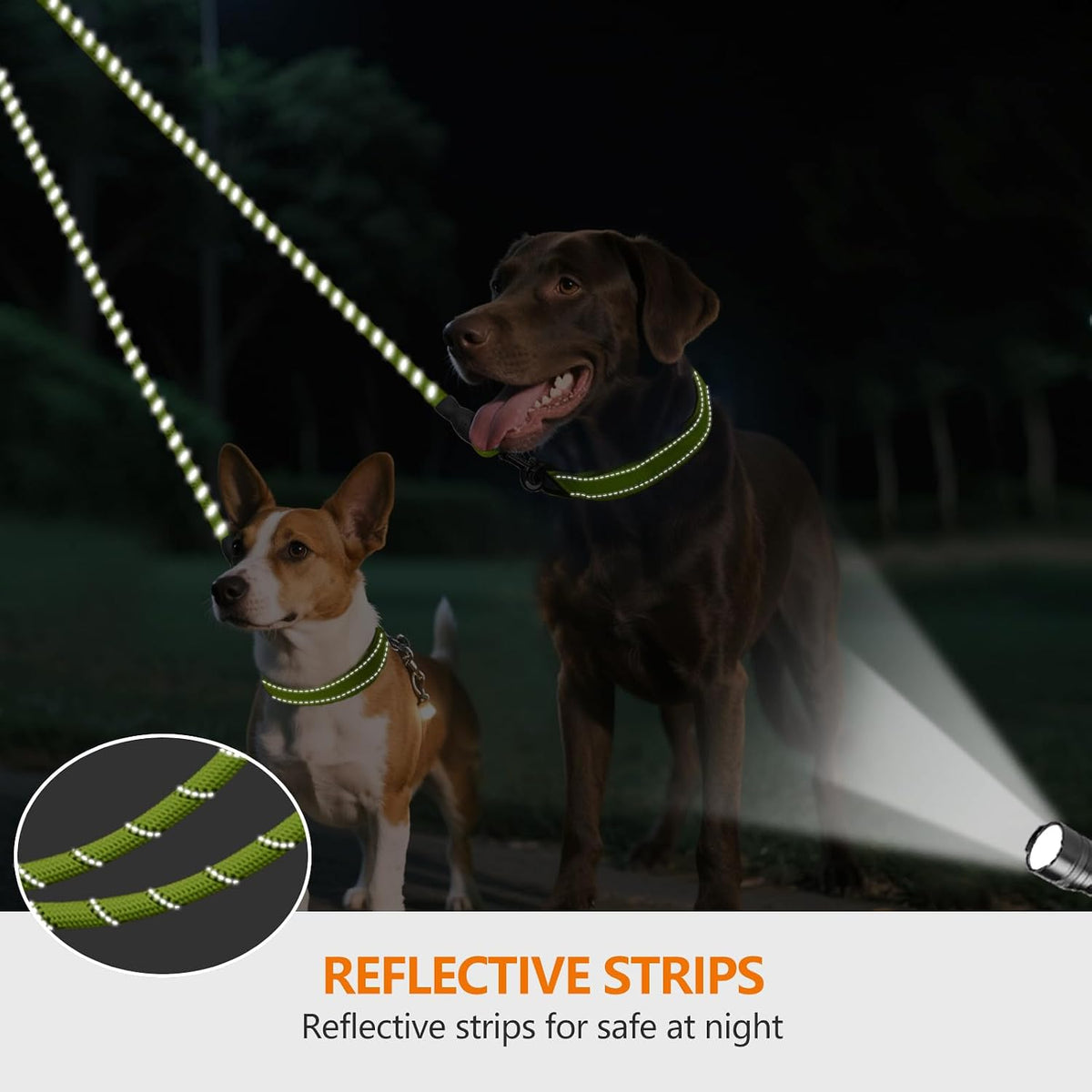 Taglory Double Dog Leash Coupler for Two Dogs - 30 Inch (Pack of 1) / Green - image 4