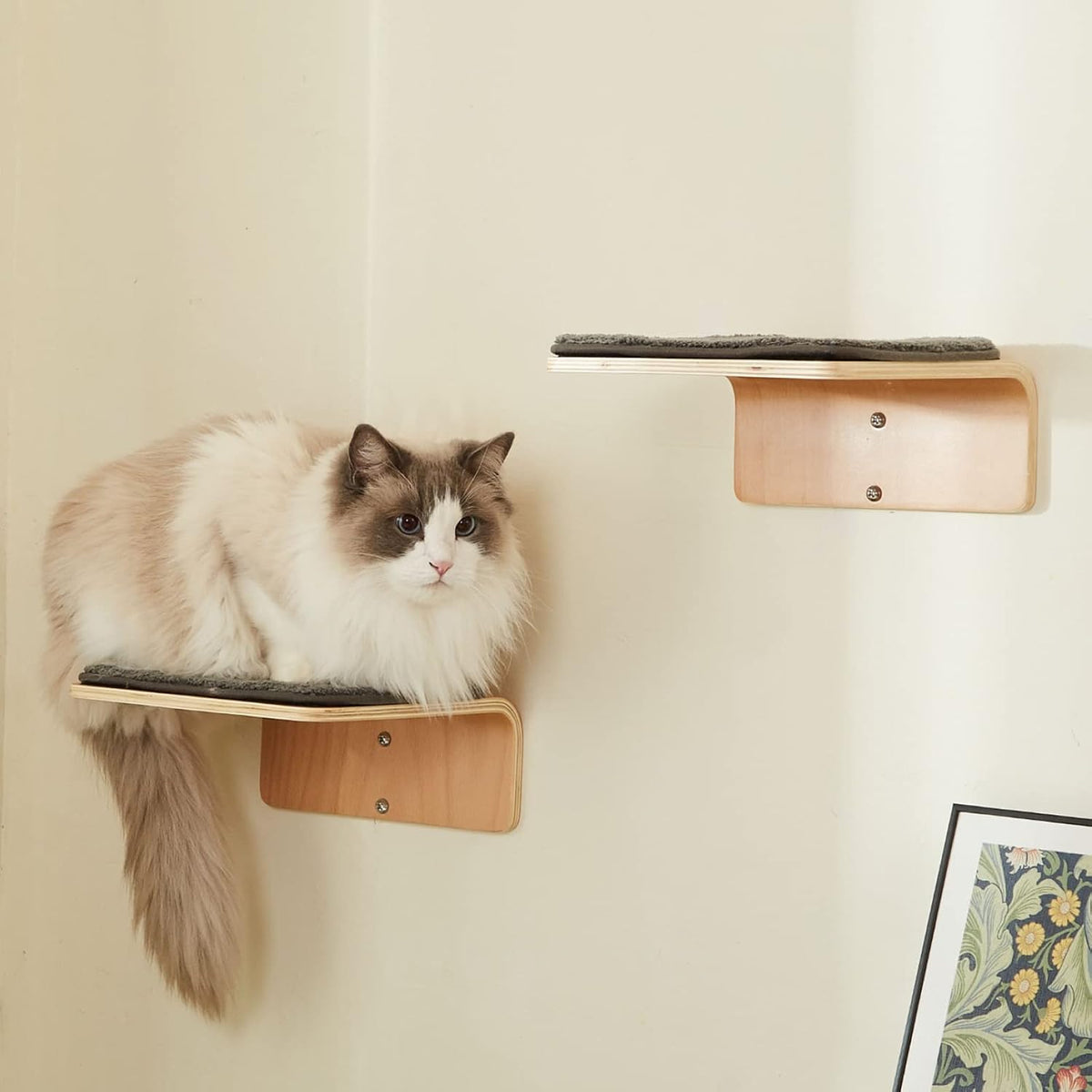 2 Set Cat Wall Steps, Wooden Cat Climbing Shelf for Wall - Steps