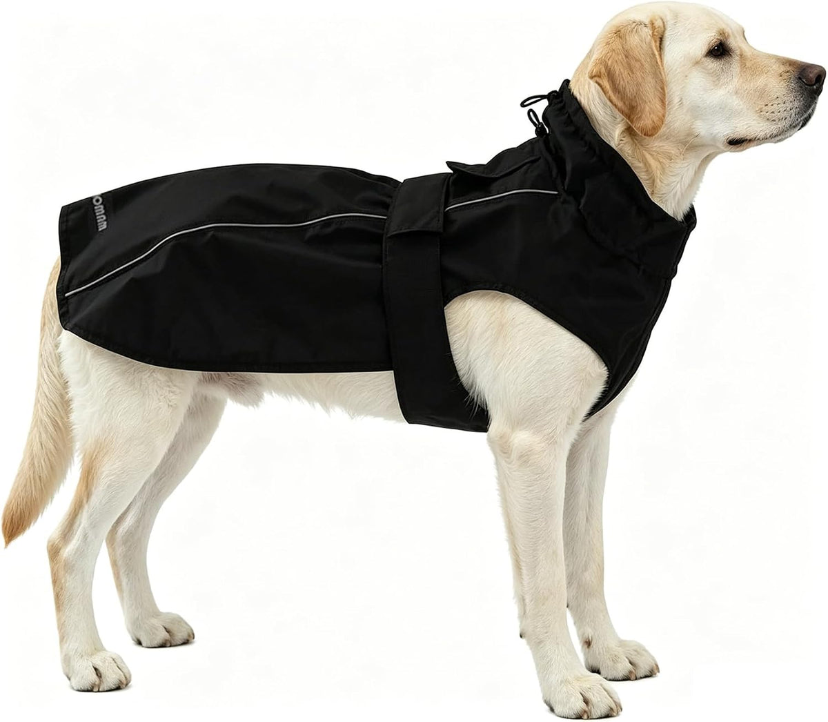 Adjustable Waterproof Dog Raincoat for Dogs - Black / Large(22-37lb)