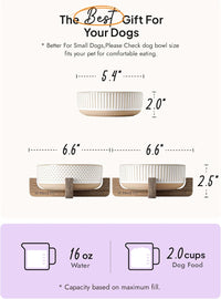 Ceramic Dog and Cat Bowl Set with Acacia Wood Stand - S-2 Cups / Lines+Dot - image 3
