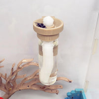 Jumping Spider Water Dispenser, Magnetic Hanging Feeder - Wood color / 15ML