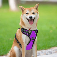 PoyPet No Pull Dog Harness Medium - S / Purple - image 2