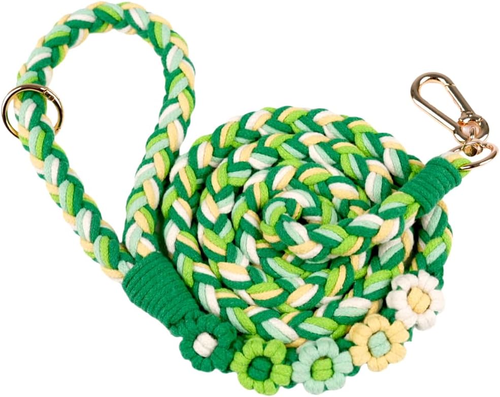 5FT Braided Cotton Rope Leash for Small, Medium and Large Dogs - Mint Meadow