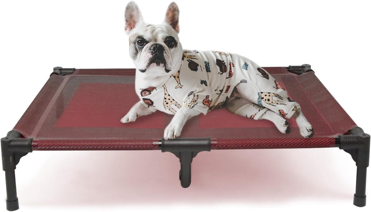 Elevated Dog Bed for Large Dogs 120lb - L (36"L x 30"W x 7"H) / Red