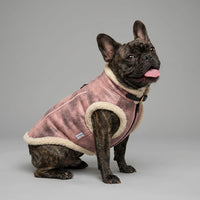Retro Aviator Dog Jacket – Faux Leather Winter Coat with Plush Sherpa Fleece Lining for Bulldog - Pink / Large - image 3