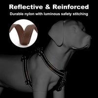 Plutus Pet No Pull Dog Harness with Leather Accents - M / Chocolate - image 4
