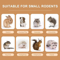 300g Guinea Pig & Rabbit Chew Toys with Apple & Timothy Sticks - Prevent Overgrown Teeth with Sweet Bamboo Treats - Ideal Rabbit Treats Included!