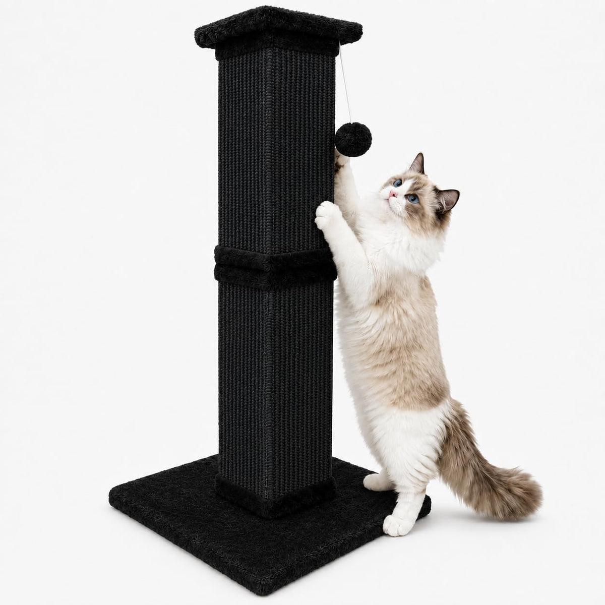 Cat Scratching Post for Indoor Cats - Pure Black / Scratcher with Ball