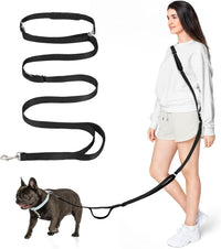 8.5ft Hands Free Dog Leash Adjustable for Medium Dogs - 8.5ft / Black