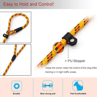Dog Rope Leash, Dog Training Leash for 10-80 lb - Yellow - image 3