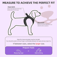 PUPTECK Dog Harness, Collar and Leash Set No Pull for Small Medium Sized – Essentials for Dogs - Purple / M (CHEST 16"-18") / Patterned Harness Collar and Leash Set - image 2