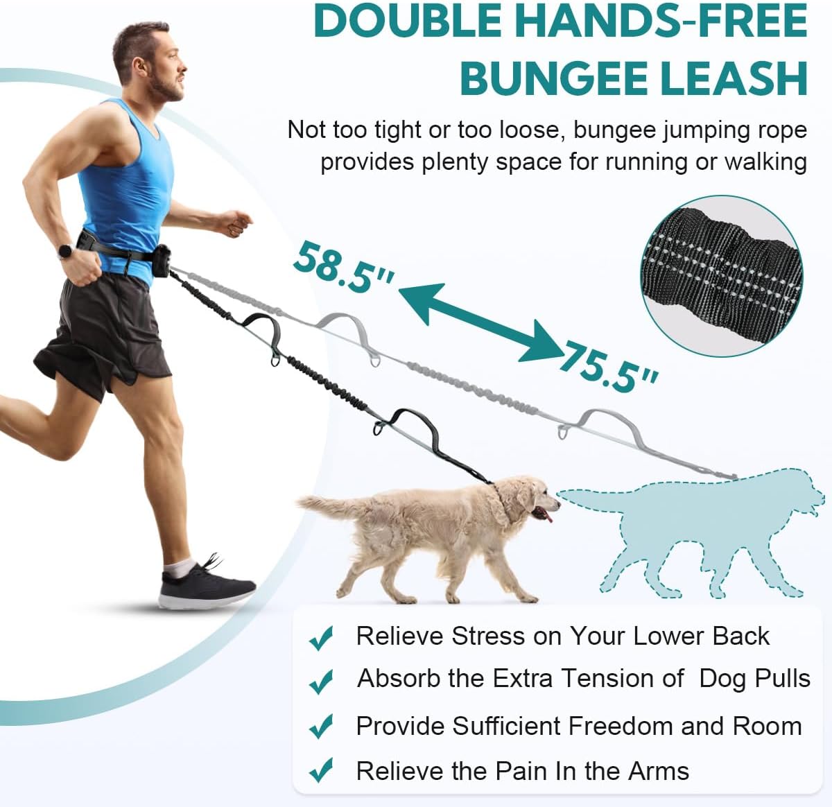 Hands Free Dog Leash for Two Dogs Walking, Running – Essentials for Dogs - Grey-Green / Large - image 2